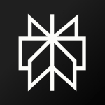 Perplexity AI (Pro)